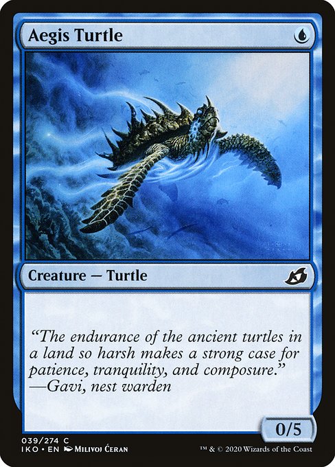 Aegis Turtle