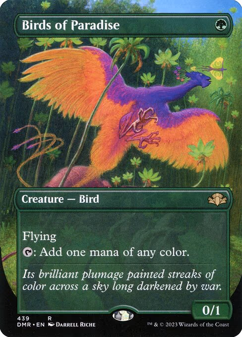 Birds of Paradise