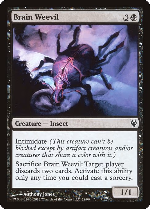 Brain Weevil