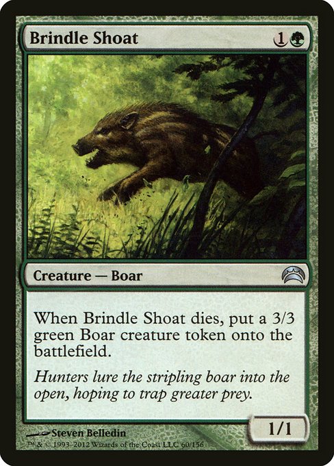 Brindle Shoat