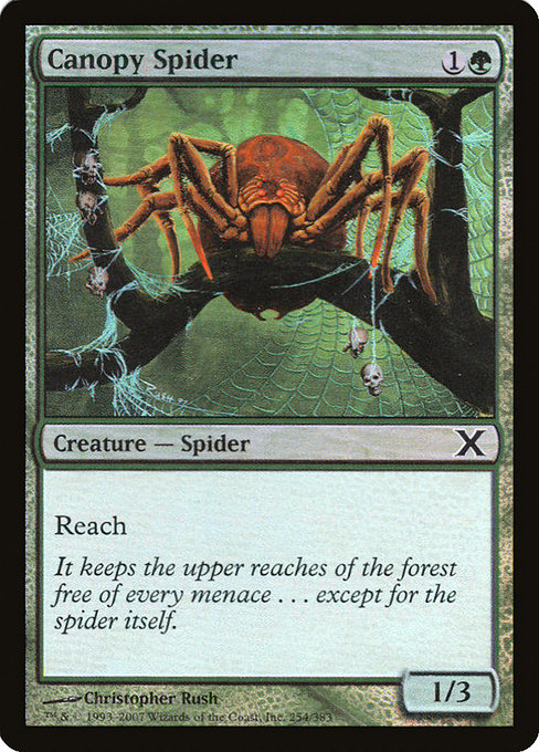 Canopy Spider