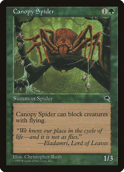 Canopy Spider