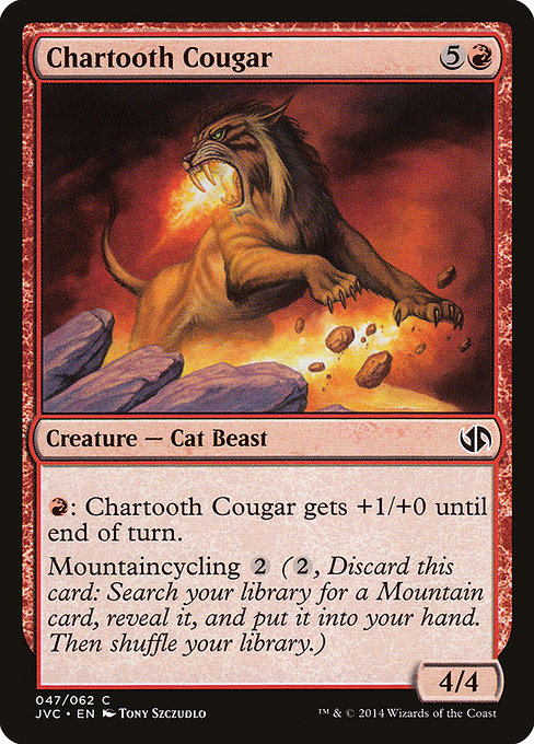 Chartooth Cougar