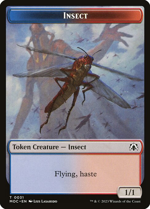 Insect