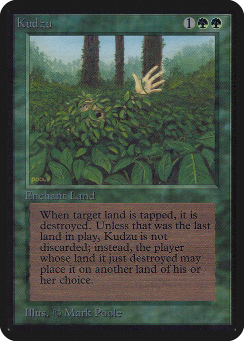 Kudzu