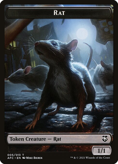 Rat