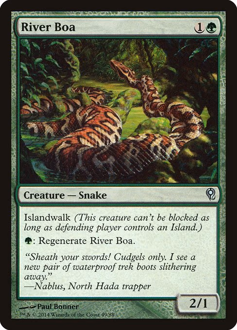 River Boa