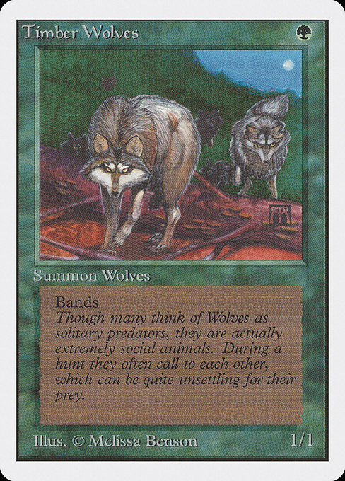 Timber Wolves