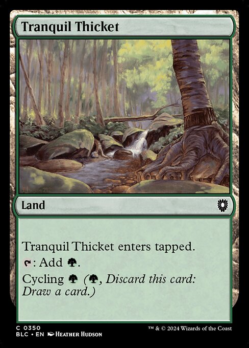 Tranquil Thicket