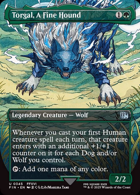 Torgal, A Fine Hound